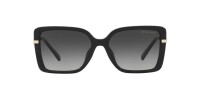 Damensonnenbrille Michael Kors CASTELLINA MK 2174U