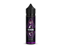 Flavorist - Aroma IceBerg - Cassis 10 ml 48er Packung